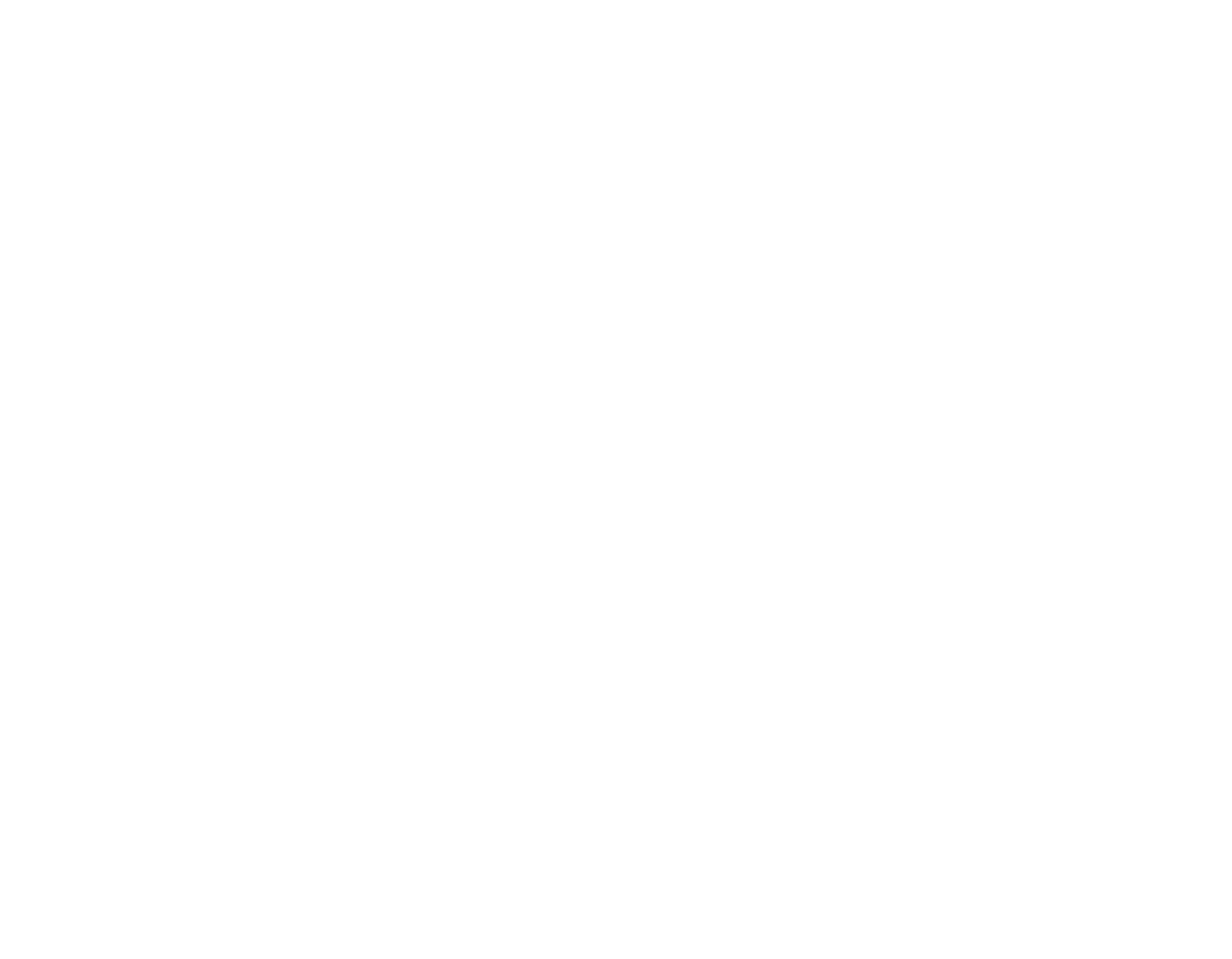 OTP Weather Company Logo